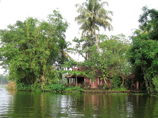 Kérala cocotiers et maison sur une île