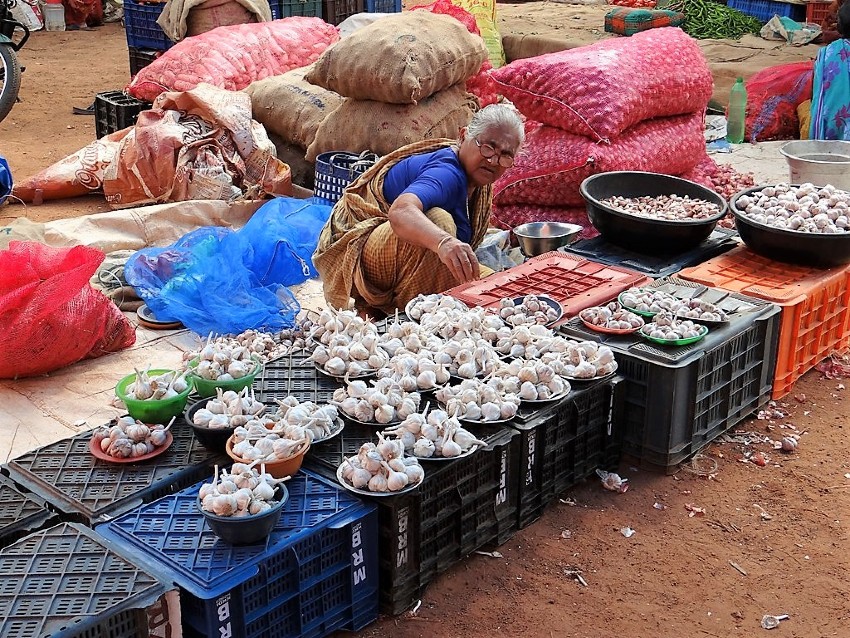 Inde vieille vendeuse d'aulx sur un marché
