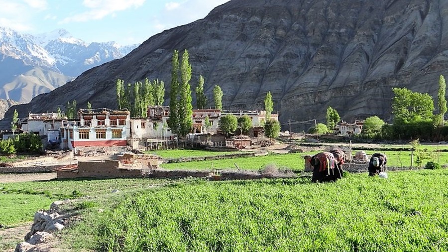 Village du Ladakh