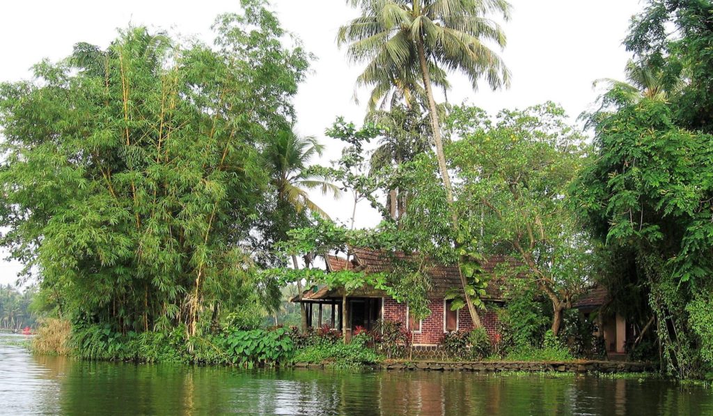 Maison sous cocotiers au bord d'un lac