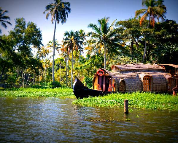 Kérala bateau en bambou sur un canal d'eau au milieu de la végétation