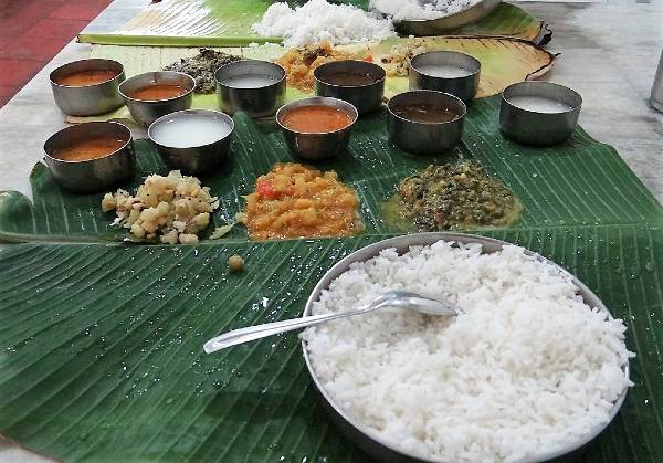 Riz et petits bols de nourriture indienne sur une feuille verte