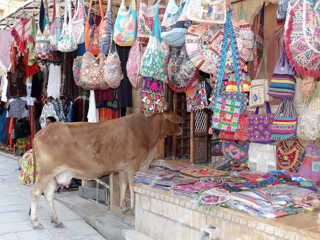 Vache qui entre chez un vendeur de sacs multicolores