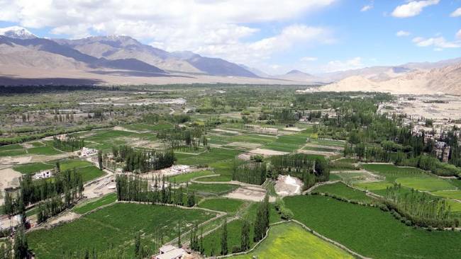Ladakh vallée avec des parcelles vertes de cultures