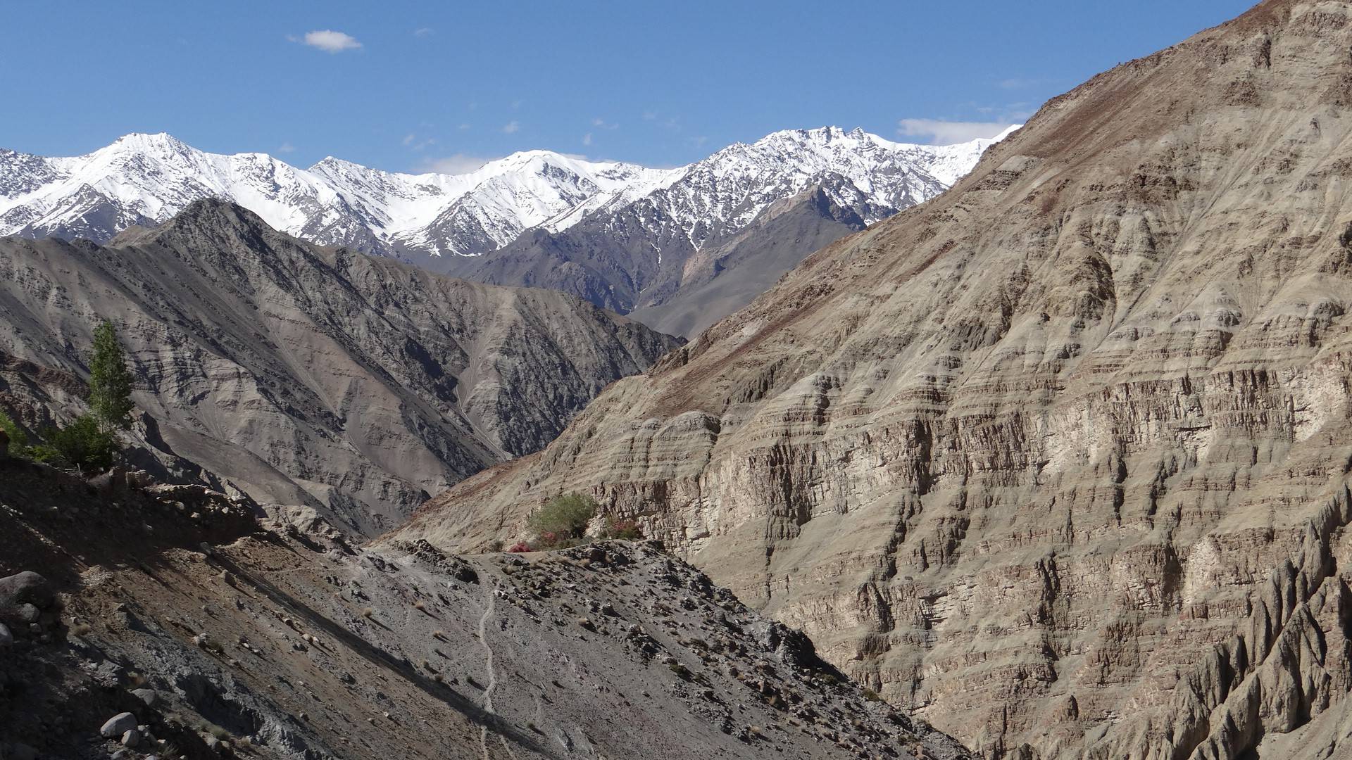Ladakh montagne arides et enneigées