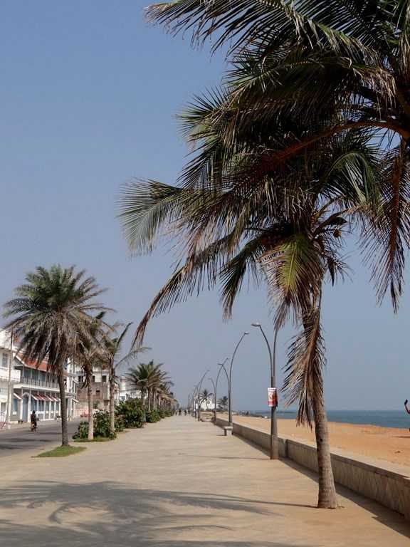 Corniche avec palmiers