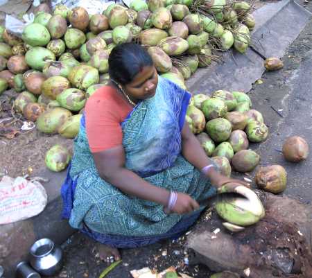 Femme Indienne coupant une noix de coco