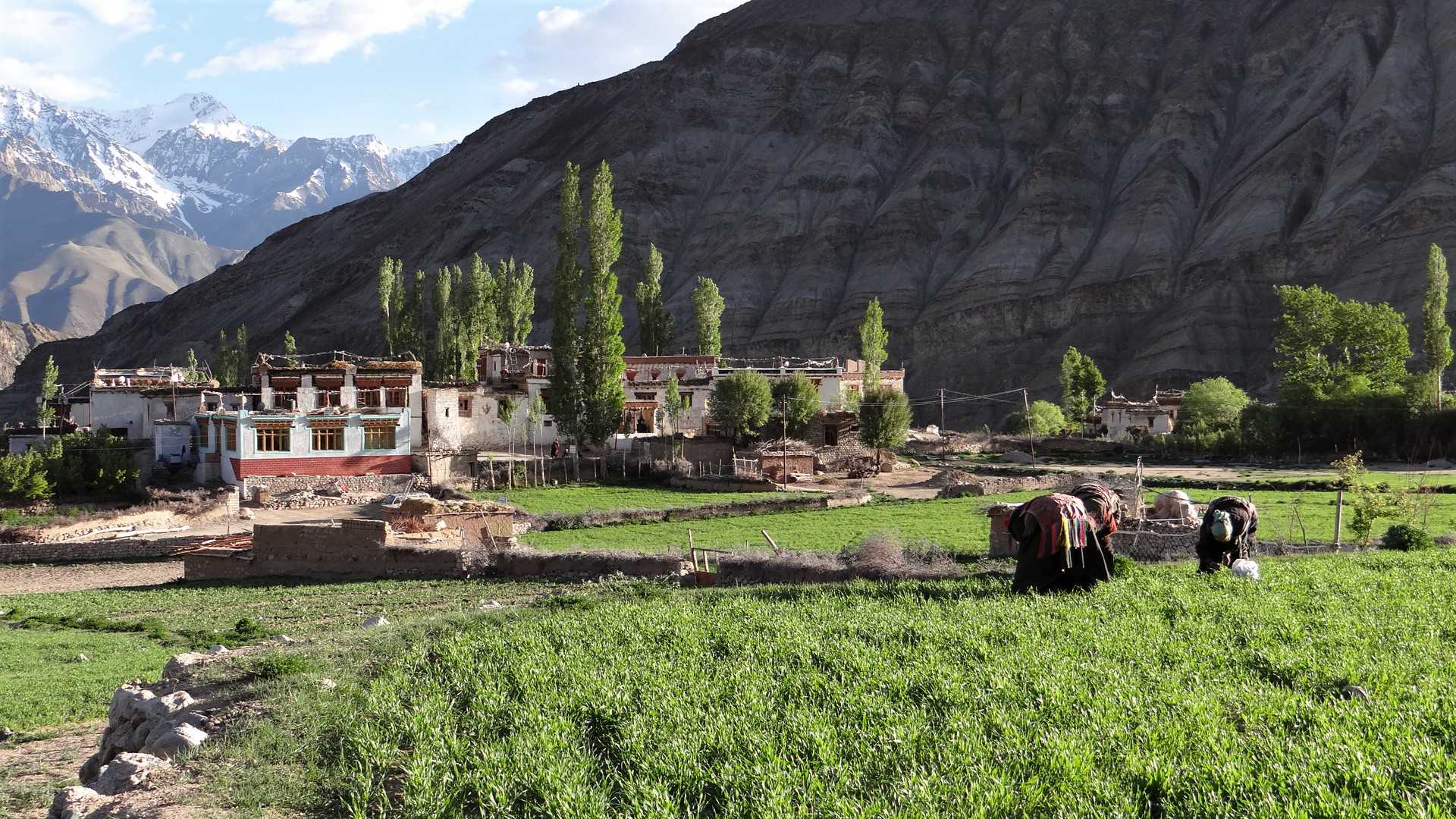 Inde Ladakh village de montagne