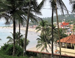 Vue d'une plage derrière des cocotiers avec maisons à droite
