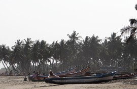 Barques sur une plage avec des cocotiers