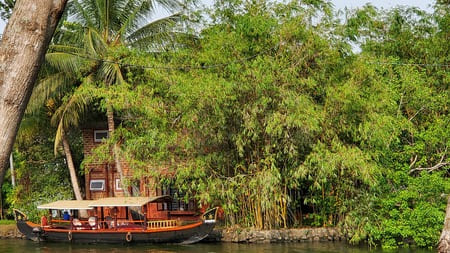 Une barque avec un toit, est devant de la verdure