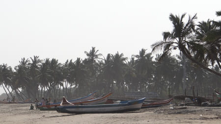 Des barques sur une plage bordée de cocotiers dans la brume de chaleur