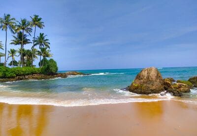 Une plage avec à gauche des cocotiers et à droite des rochers