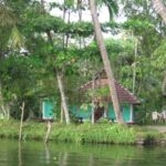 Maison verte sous des cocotiers, en bordure d'un canal